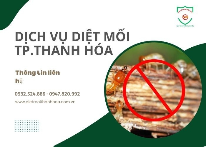 Dich-vu-diet-moi-thanh-hoa-tai-nha-101