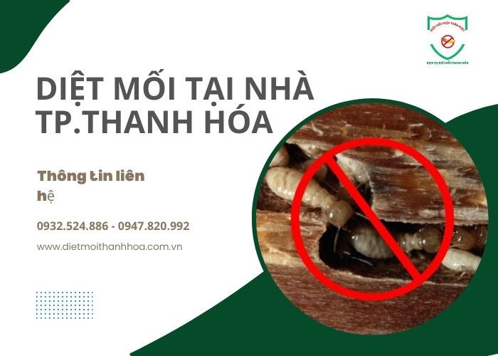 Diet-moi-tai-nha-TP-Thanh-Hoa-0021
