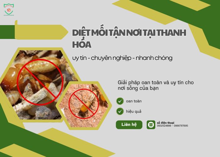 Diet-moi-tan-noi-tai-thanh-hoa-1001