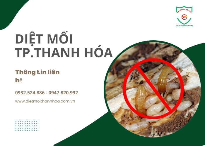 Diet-moi-thanh-hoa-002