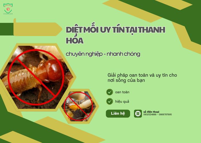 Diet-moi-uy-tin-tai-thanh-hoa-00101