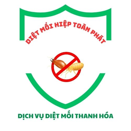 Diệt Mối Thanh Hoá