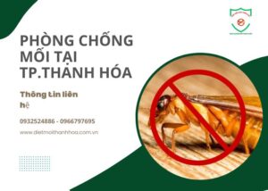 Phong-chong-moi-Tp-Thanh-Hoa-01