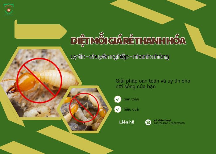 diet-moi-thanh-hoa-gia-re-00101