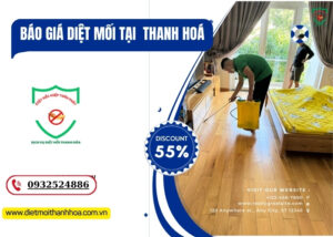 Báo Giá Diệt Mối Tại Thanh Hoá