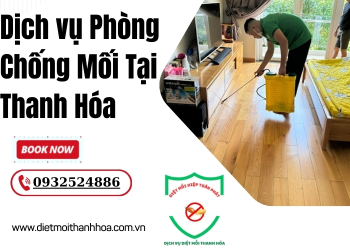 Dịch vụ Phòng Chống Mối Tại Thanh Hóa