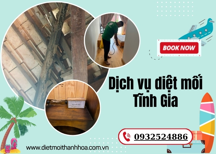 Dịch vụ diệt mối Tĩnh Gia