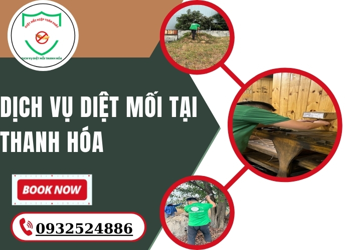 Dịch vụ diệt mối tại Thanh Hóa