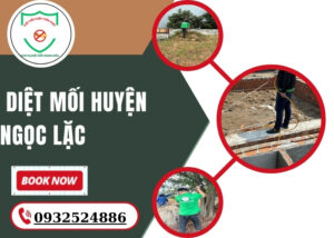 Diệt Mối Huyện Ngọc Lặc