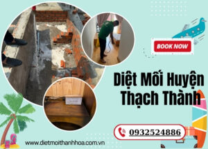 Diệt Mối Huyện Thạch Thành