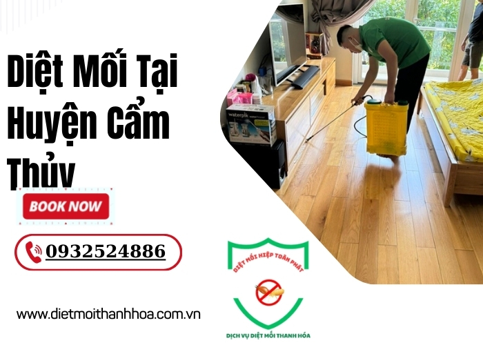 Diệt Mối Tại Huyện Cẩm Thủy