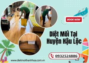 Diệt Mối Tại Huyện Hậu Lộc