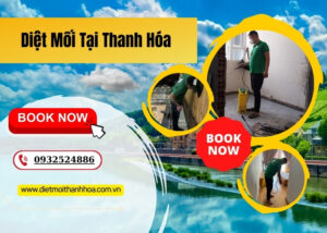 Diệt Mối Tại Thanh Hóa