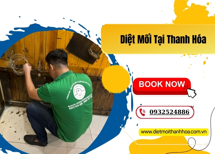 Diệt Mối Tại Thanh Hóa