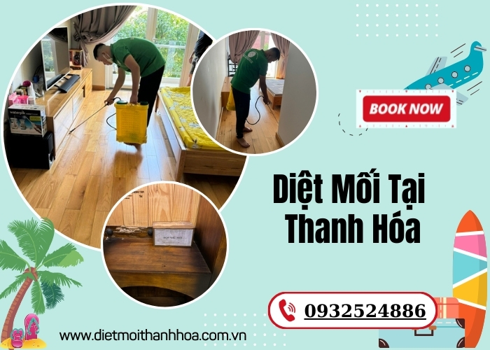 Diệt Mối Tại Thanh Hóa