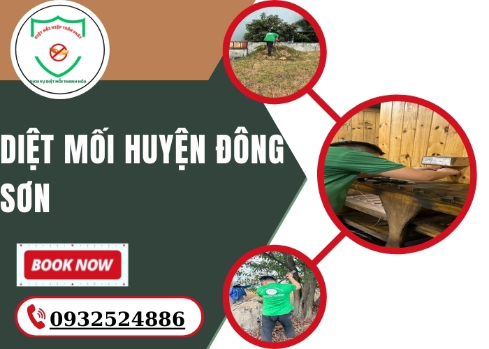 Diệt mối Huyện Đông Sơn