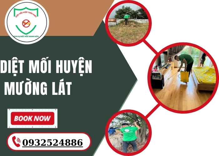 Diệt mối Huyện Mường Lát