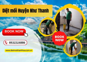 Diệt mối Huyện Như Thanh