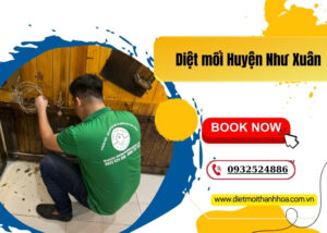 Diệt mối Huyện Như Xuân