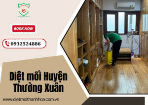 Diệt mối Huyện Thường Xuân