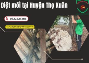 Diệt mối tại Huyện Thọ Xuân