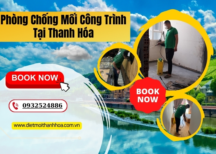 Phòng Chống Mối Công Trình Tại Thanh Hóa