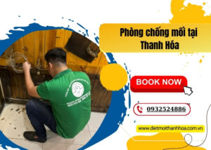 Phòng chống mối tại Thanh Hóa