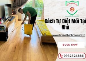 Cách Tự Diệt Mối Tại Nhà