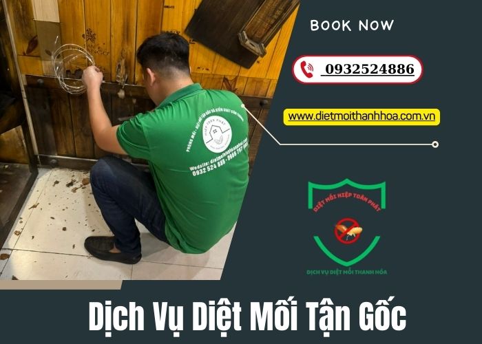 Dịch Vụ Diệt Mối Tận Gốc