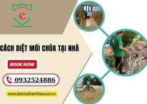 cách diệt mối chúa tại nhà