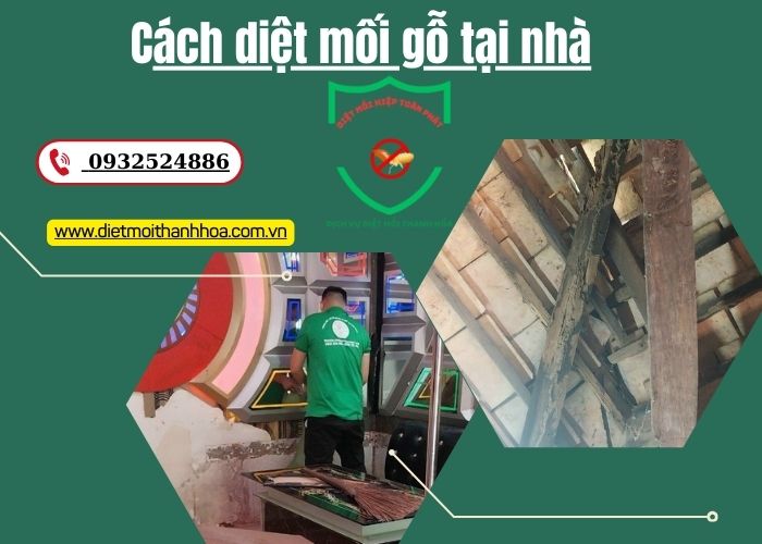 cách diệt mối gỗ tại nhà