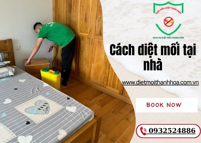 cách diệt mối tại nhà