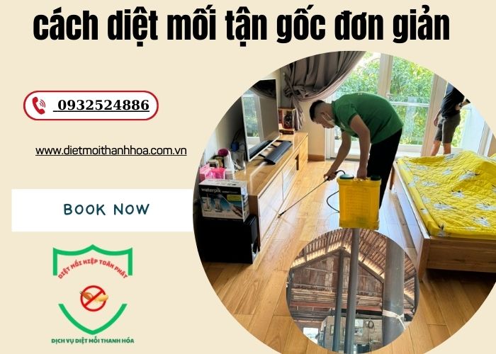 cách diệt mối tận gốc đơn giản