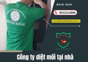 công ty diệt mối tại nhà