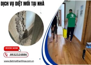 dịch vụ diệt mối tại nhà