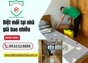 diệt mối tại nhà giá bao nhiêu