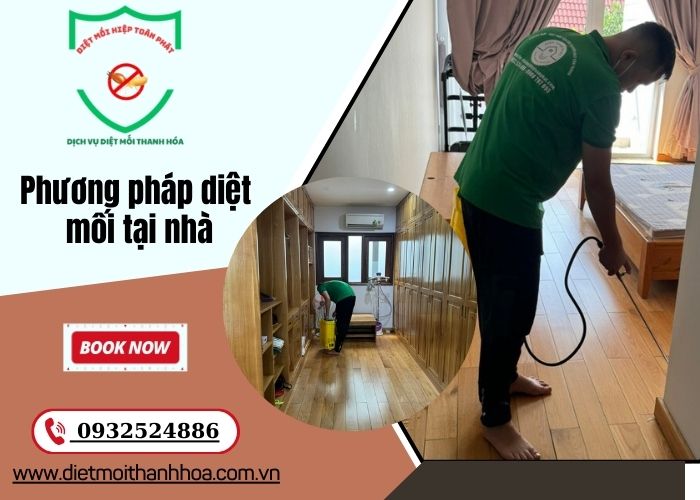 phương pháp diệt mối tại nhà