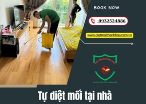 tự diệt mối tại nhà