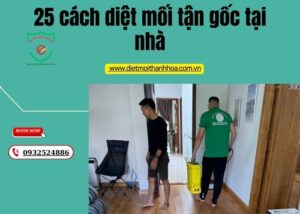 25 cách diệt mối tận gốc tại nhà
