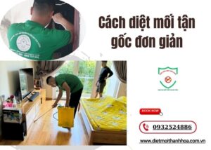 Cách diệt mối tận gốc đơn giản