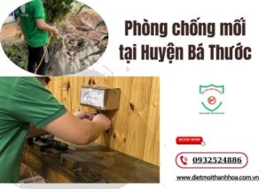 Phòng chống mối tại Huyện Bá Thước