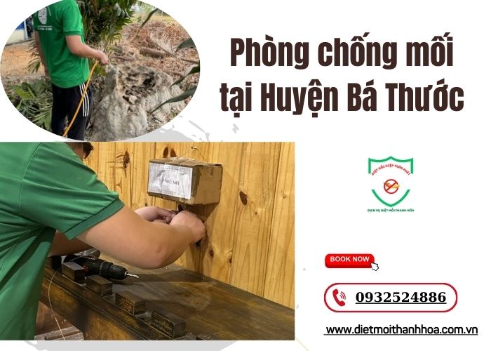 Phòng chống mối tại Huyện Bá Thước
