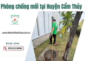 Phòng chống mối tại Huyện Cẩm Thủy