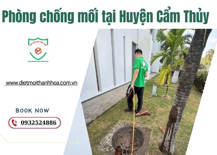 Phòng chống mối tại Huyện Cẩm Thủy