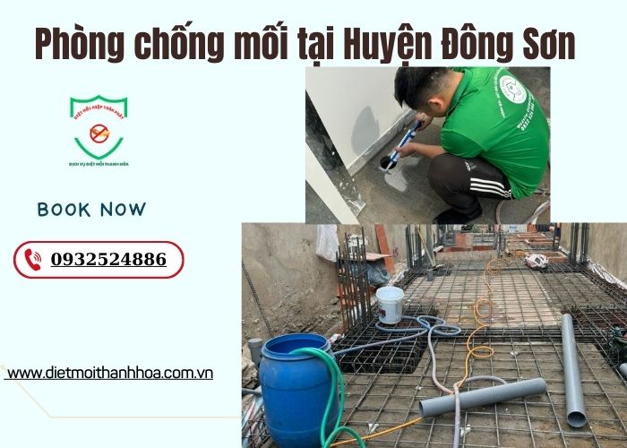 Phòng chống mối tại Huyện Đông Sơn