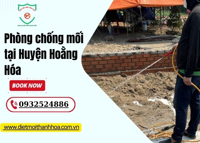 Phòng chống mối tại Huyện Hoằng Hóa