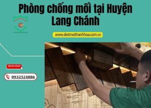 Phòng chống mối tại Huyện Lang Chánh