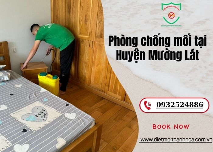 Phòng chống mối tại Huyện Mường Lát