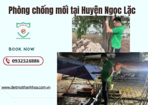 Phòng chống mối tại Huyện Ngọc Lặc