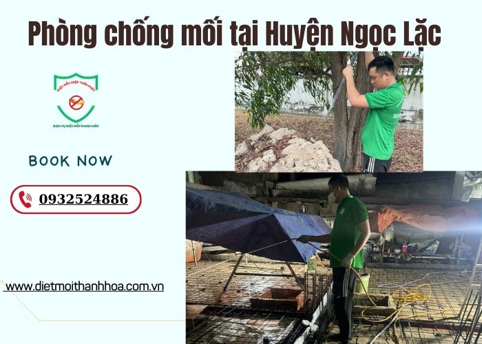 Phòng chống mối tại Huyện Ngọc Lặc